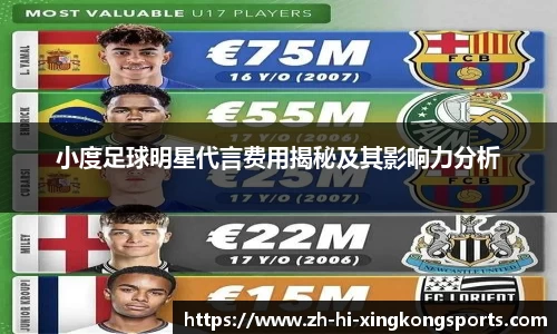 小度足球明星代言费用揭秘及其影响力分析